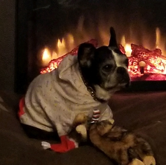 Meet your Posher, Kelley - Picture 1 of 1